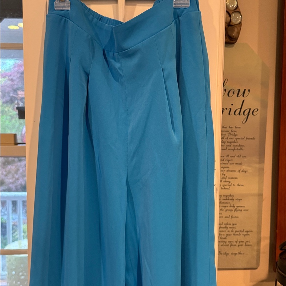 EUC Vici Pants